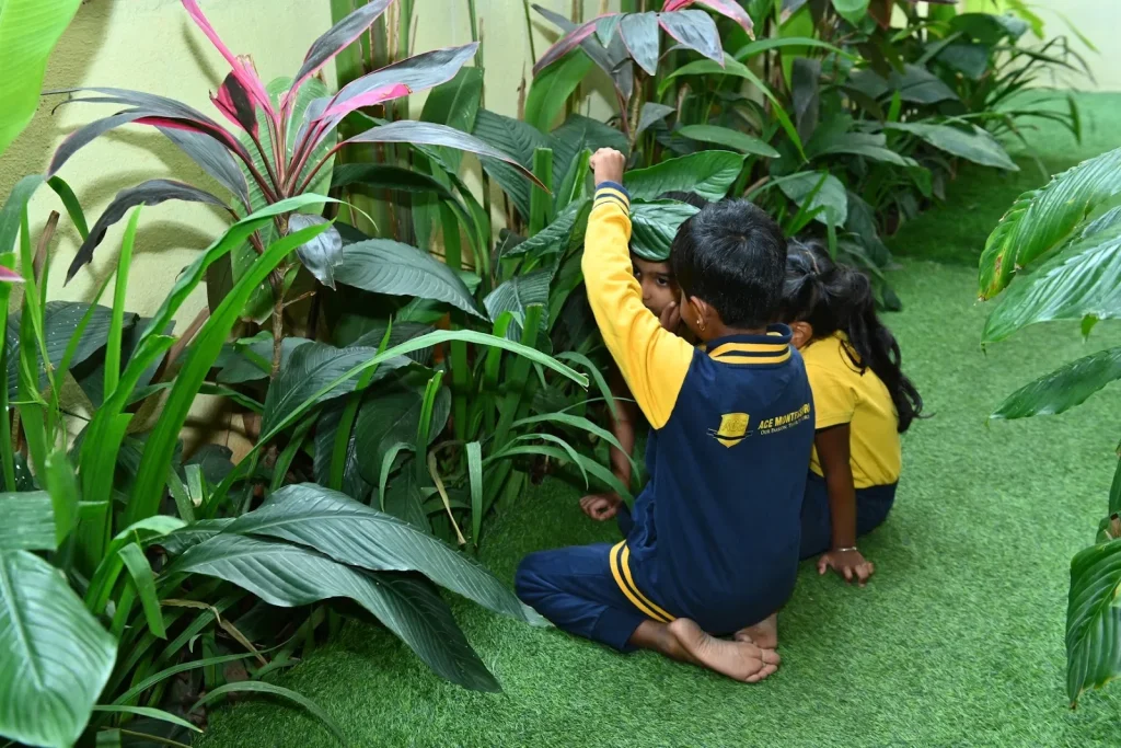 Child exploring plants in the garden at ACE Montessori, Padmanabhanagar and Jayanagar, Bangalore
