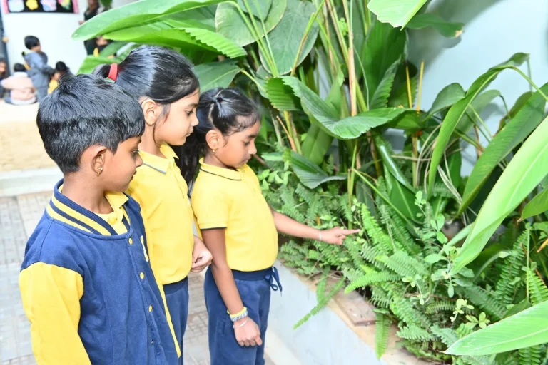 Children exploring the school garden at ACE Montessori, Padmanabhanagar and Jayanagar, Bangalore